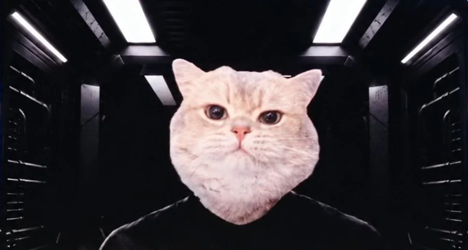 Commander Vrax on the same viewscreen, now with a cat’s head